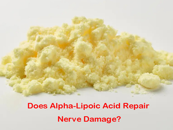Does Alpha-Lipoic Acid Repair Nerve Damage?